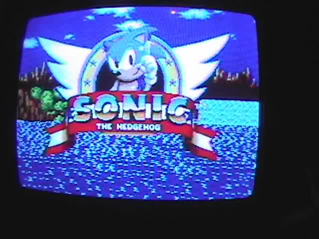 Bootleg Sonic